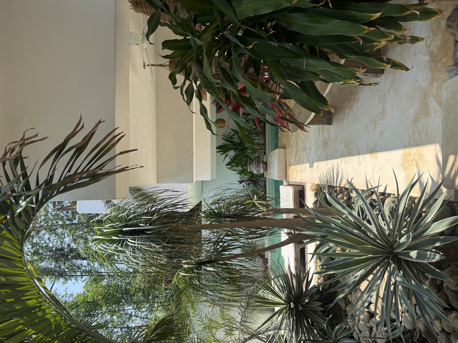 Pool and garden